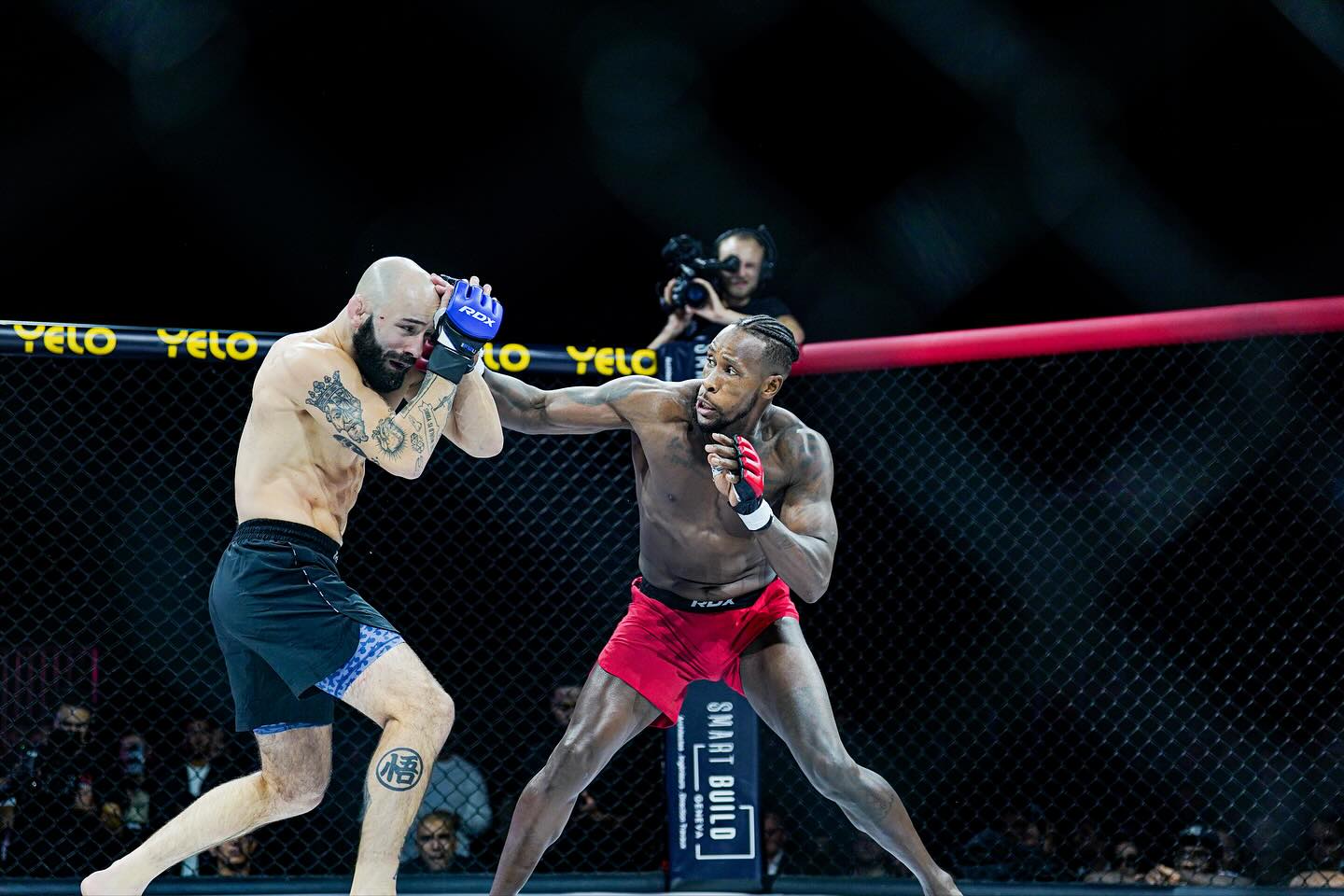 Combat dans la cage